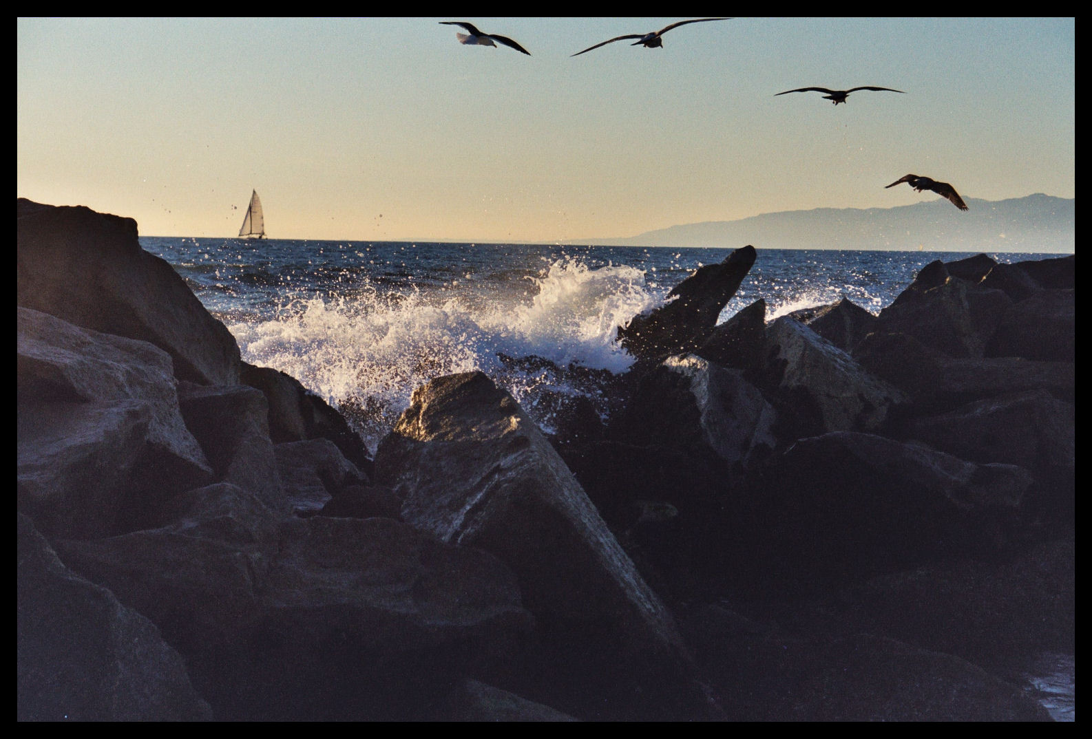 Venice Beach