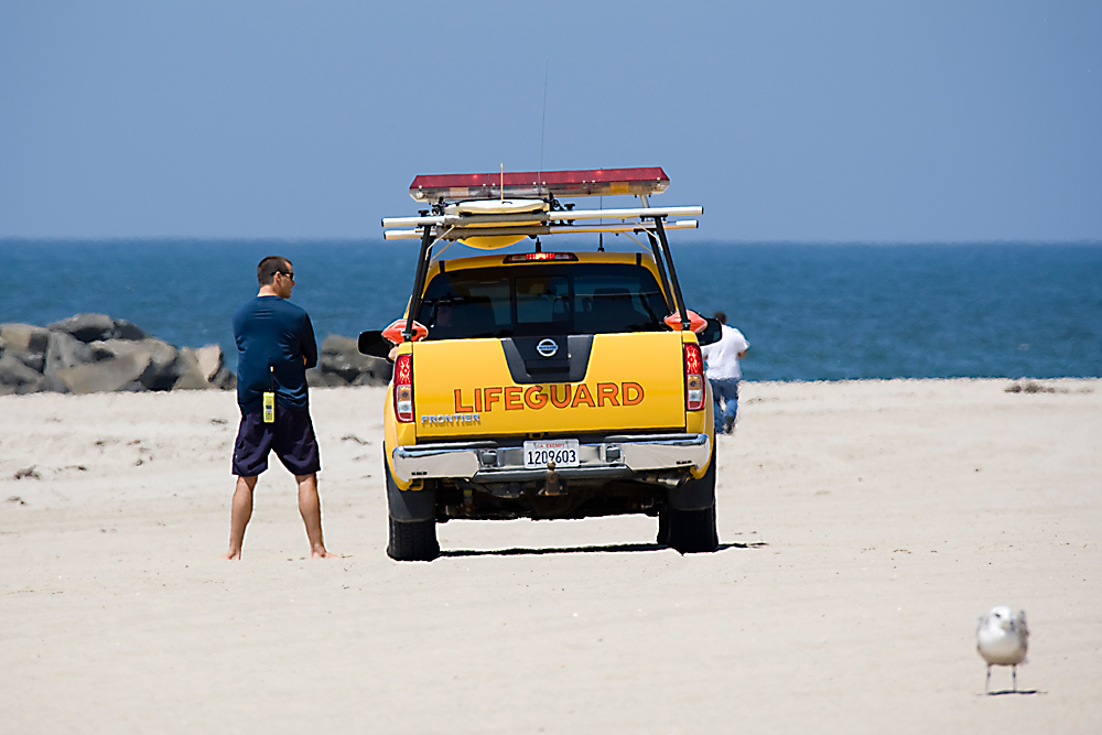 venice beach-1