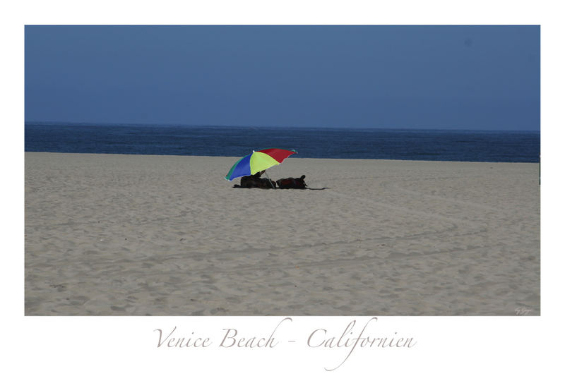 Venice Beach (1)