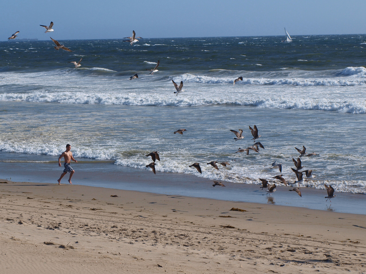 Venice Beach