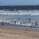 Venice Beach