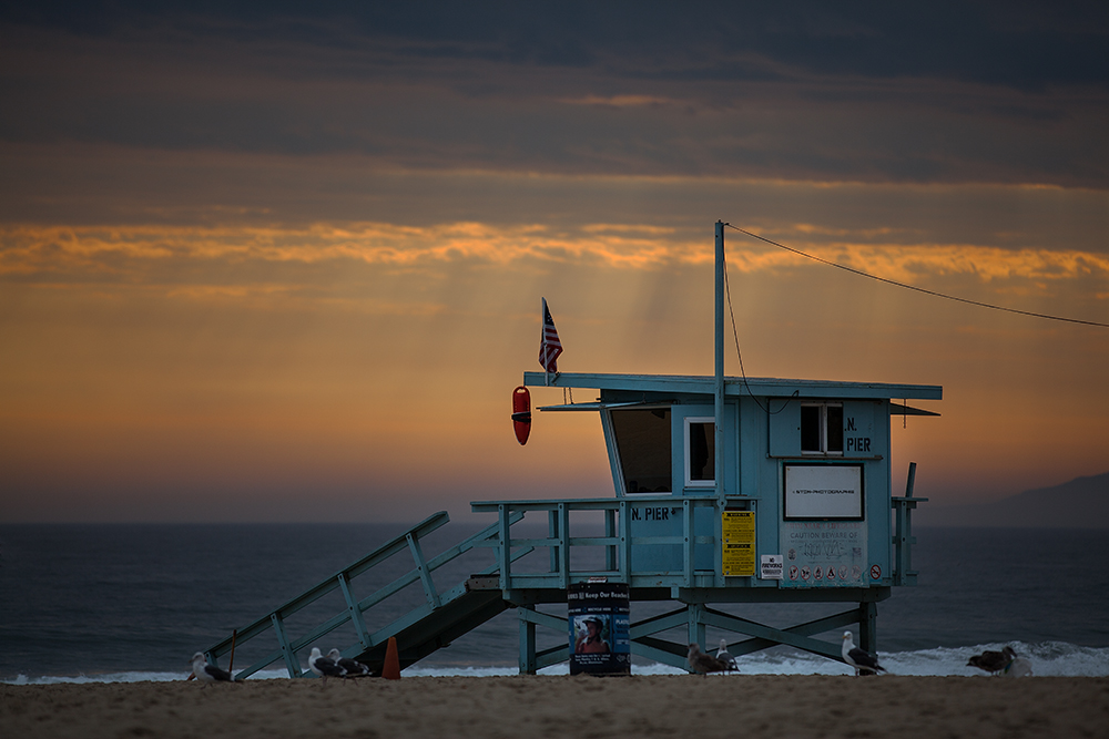 °Venice Beach°