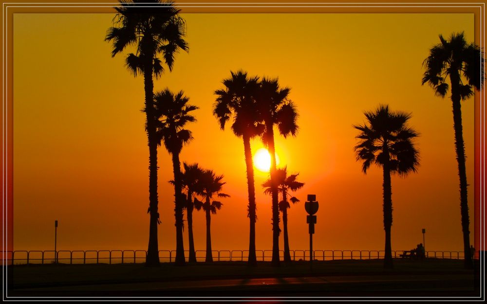 Venice Beach von Royal Clipper 