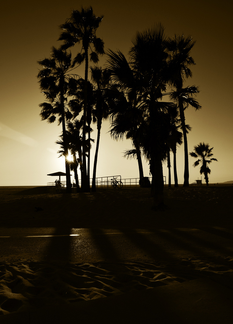 Venice Beach #4