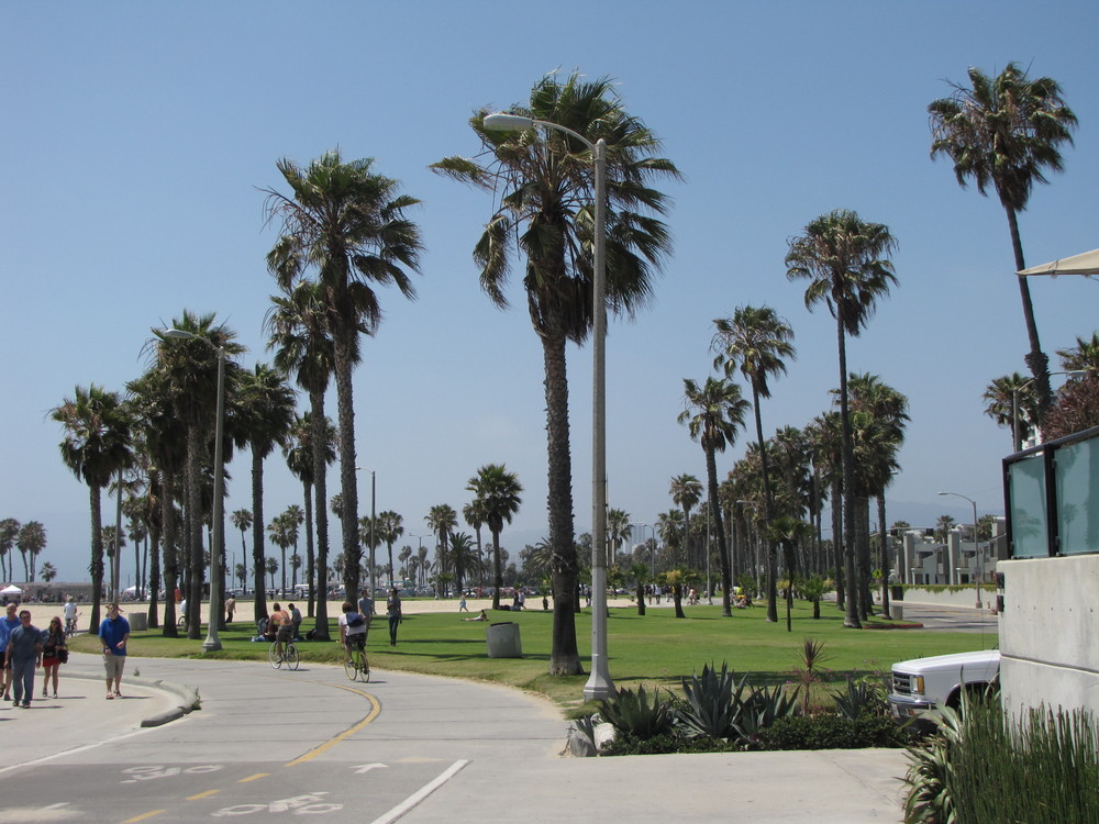 Venice Beach