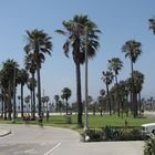 Venice Beach