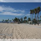 Venice Beach