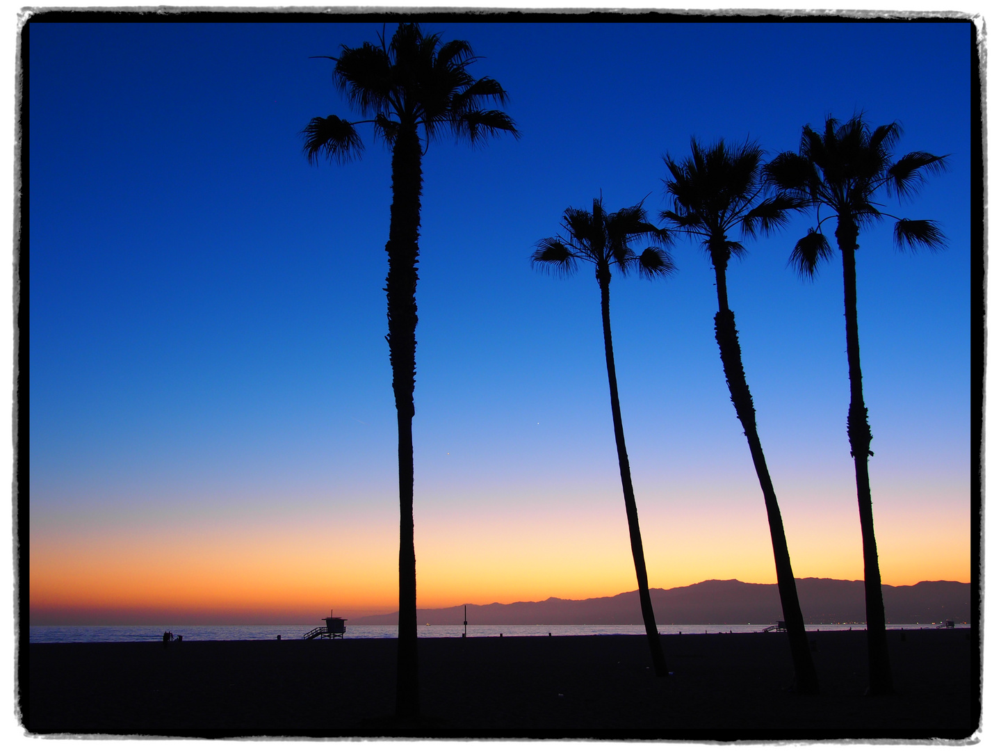 Venice Beach