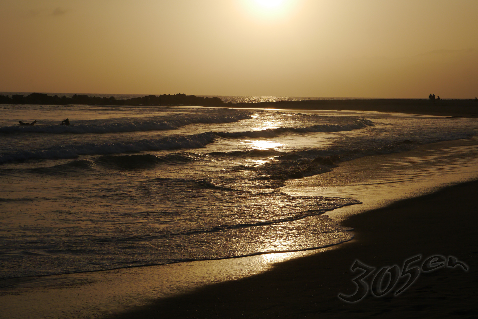 Venice Beach