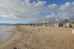 Venice Beach