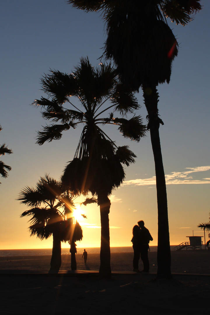 Venice Beach