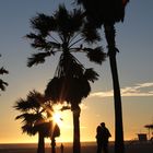 Venice Beach