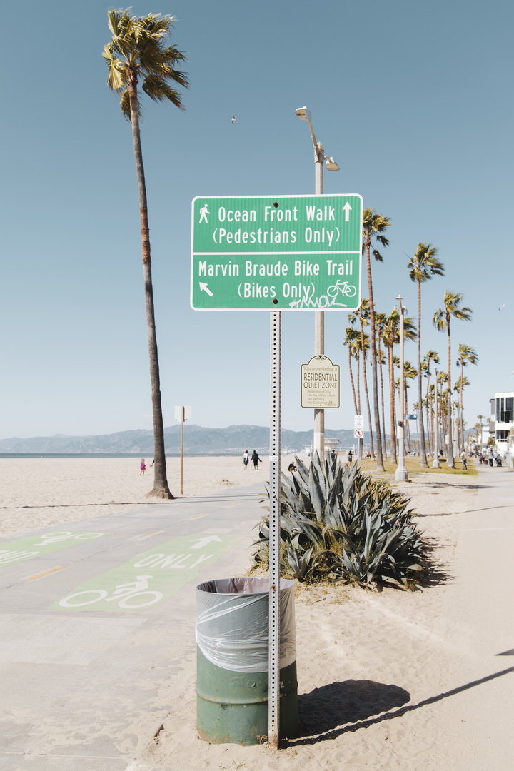 Venice Beach 