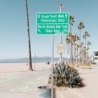 Venice Beach 