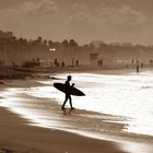 Venice Beach