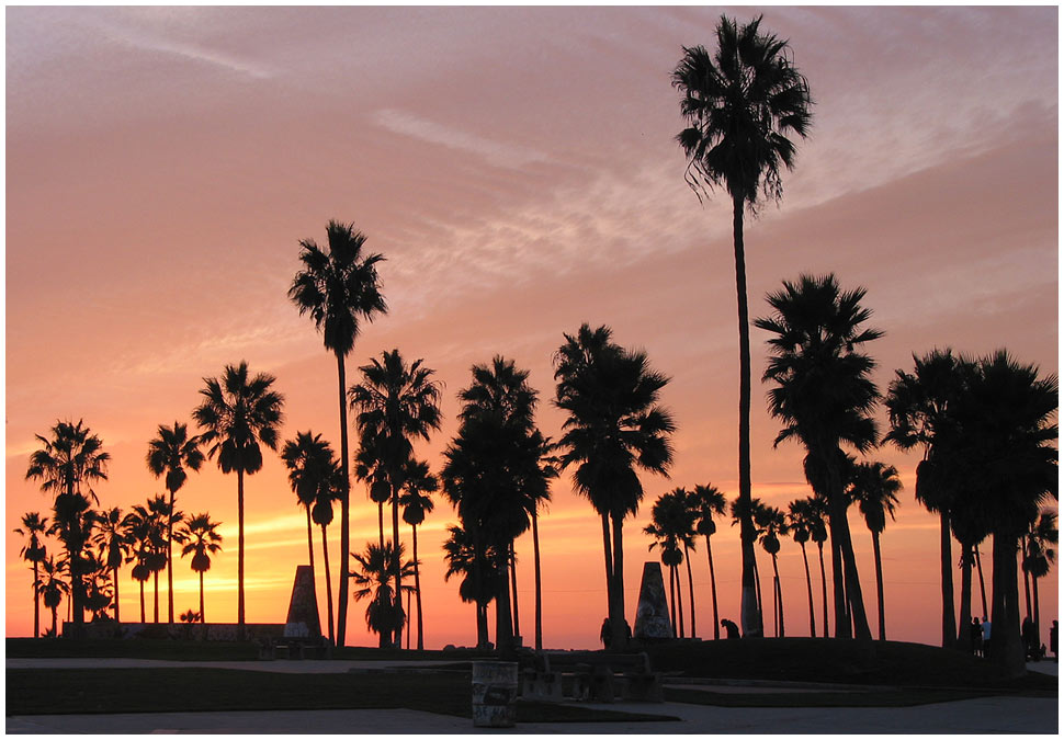 Venice Beach / CA