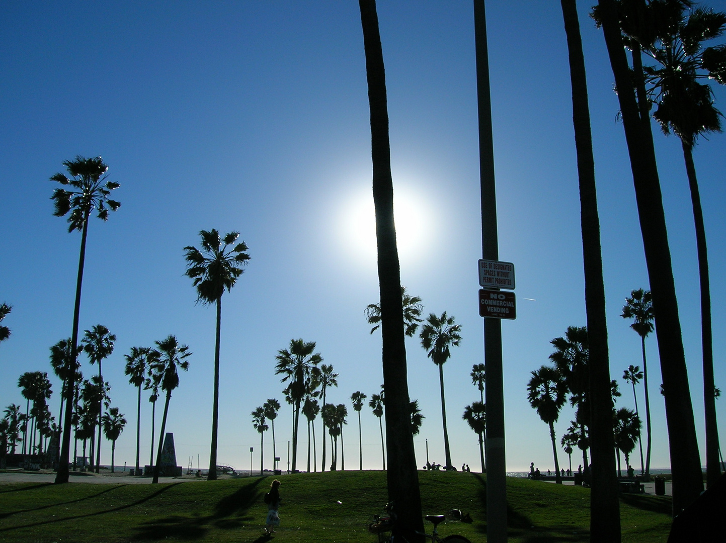 Venice beach