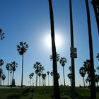 Venice beach