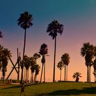 Venice Beach