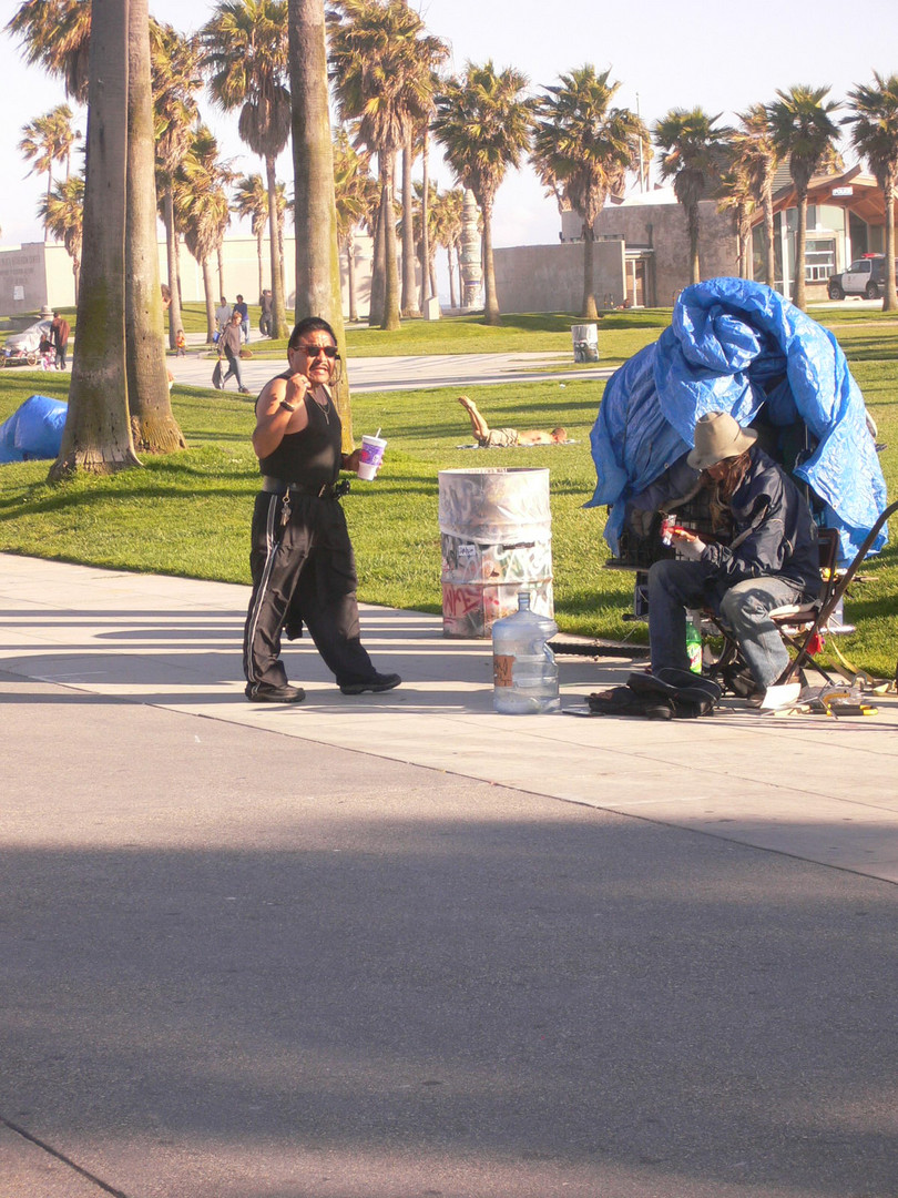 Venice Beach II