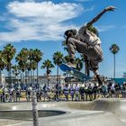 Venice Beach LA -Scaterpark