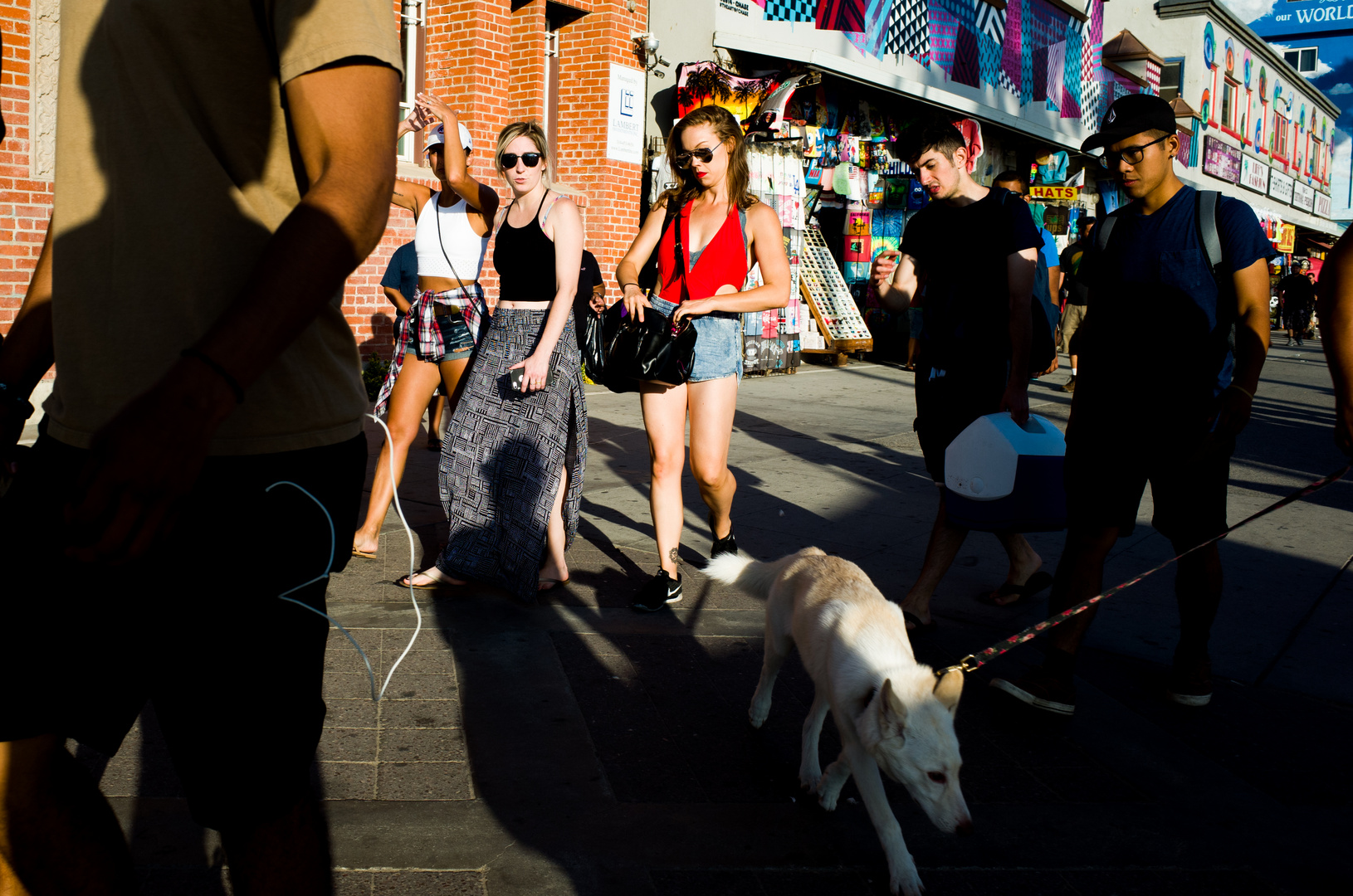 Venice Beach, Los Angeles #12