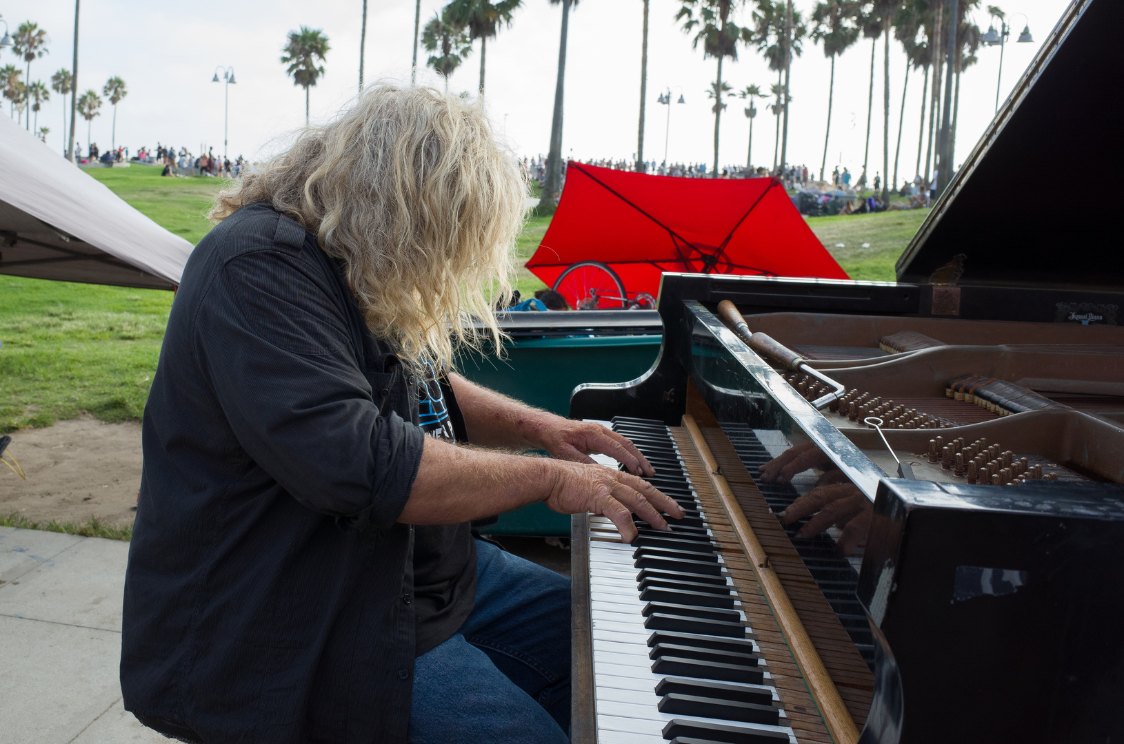 Venice Beach, Los Angeles #5