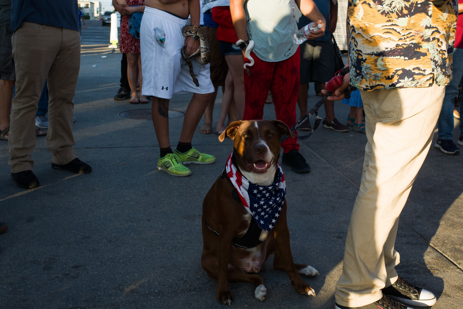 Venice Beach, Los Angeles #9