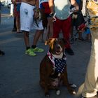 Venice Beach, Los Angeles #9