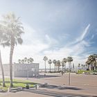 Venice Beach - Los Angeles