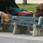 Venice Beach (Los Angelos, USA)