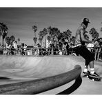 Venice Beach Sk-8-ers