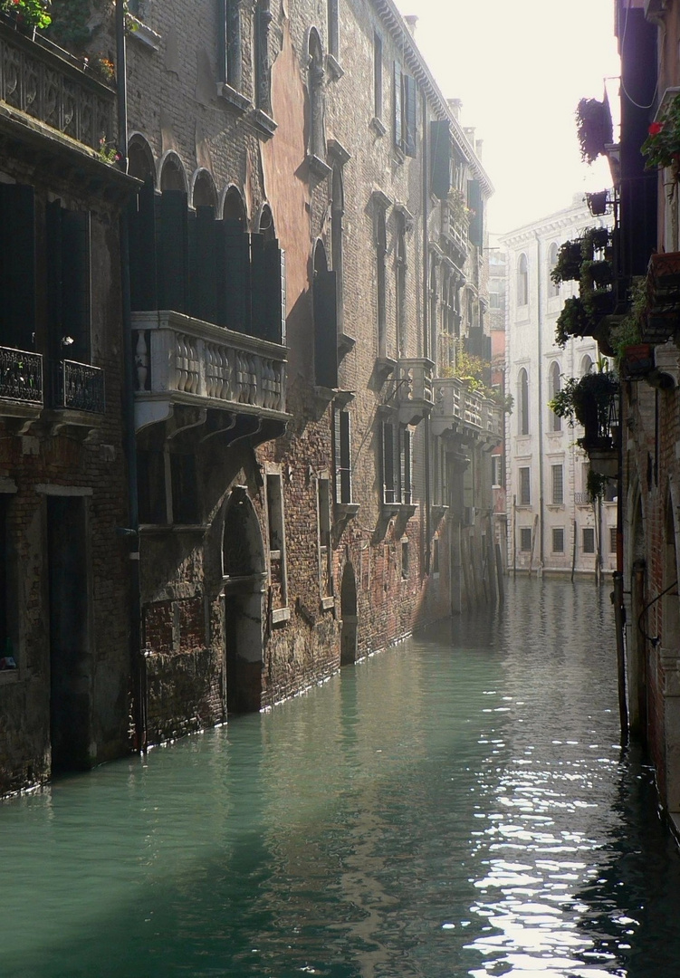 Venice Canal