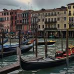 Venice Classic 