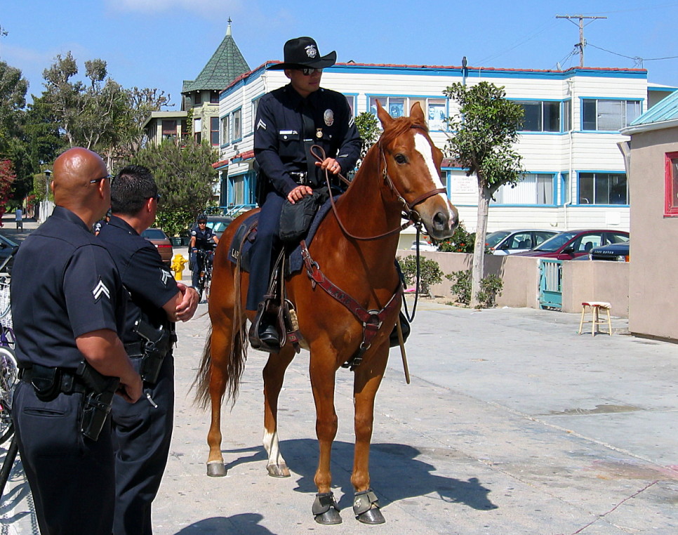 Venice Cops