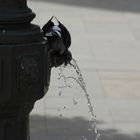 Venice, Fresh water and closed eyes