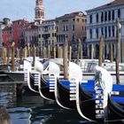 Venice Gondolas