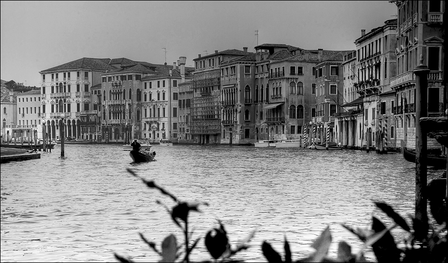 Venice II