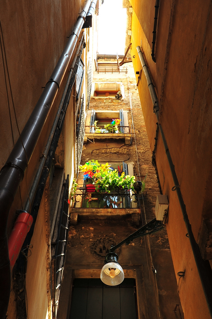 Venice interior