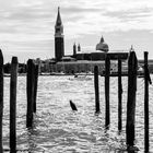 Venice island