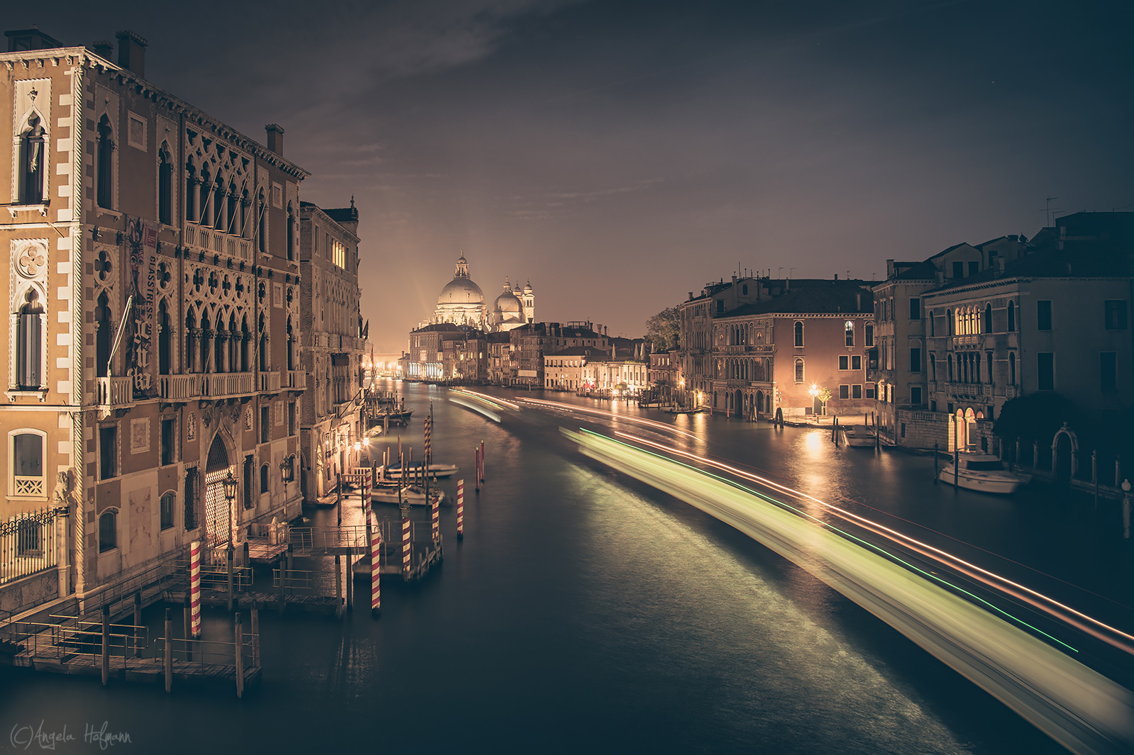 venice nightlines