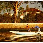 Venice, rowing at sunset