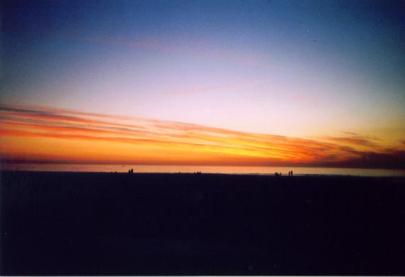 venicebeach