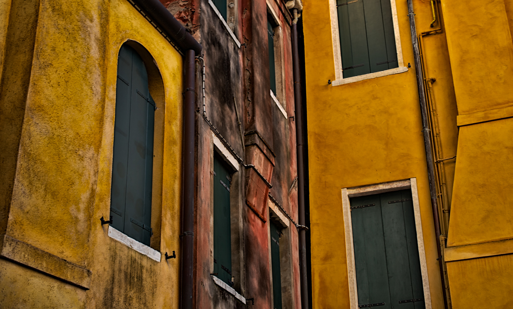 venice.colors