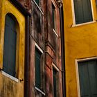 venice.colors