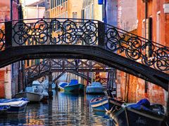 Venice's colors