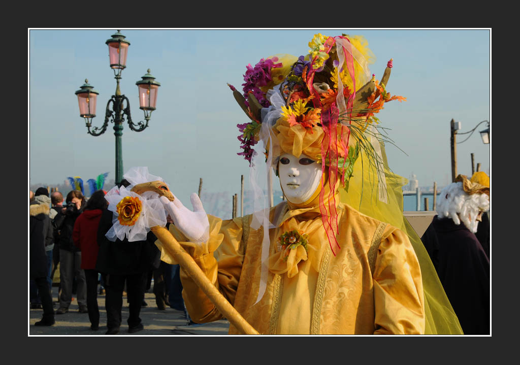 Venise au temps du carnaval
