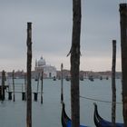 Venise et ses gondoles