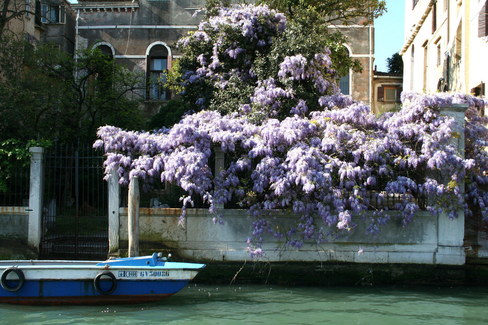 Venise Grand Canal 2