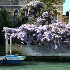 Venise Grand Canal 2